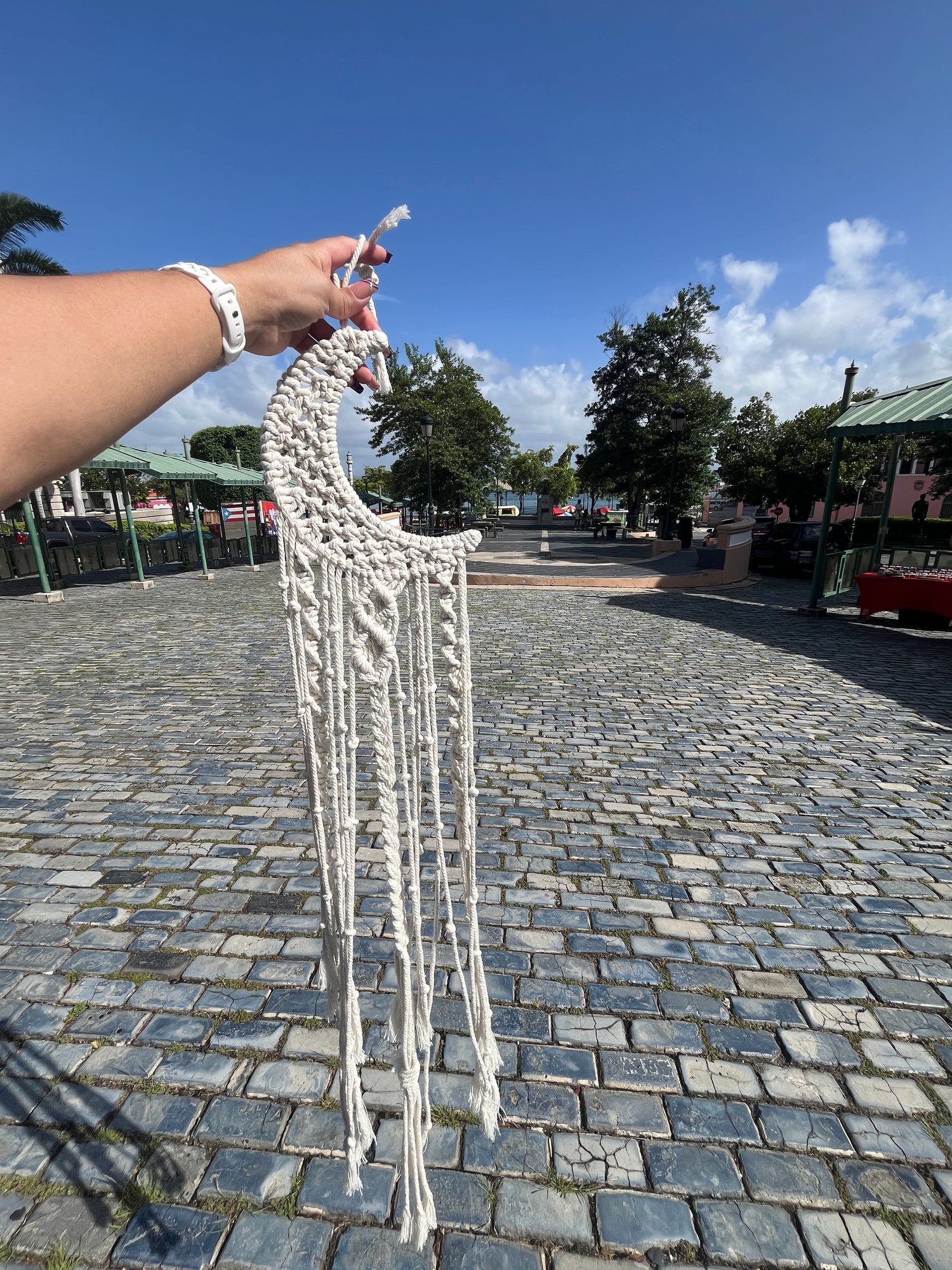 Decoraciones en Macrame para Paredes