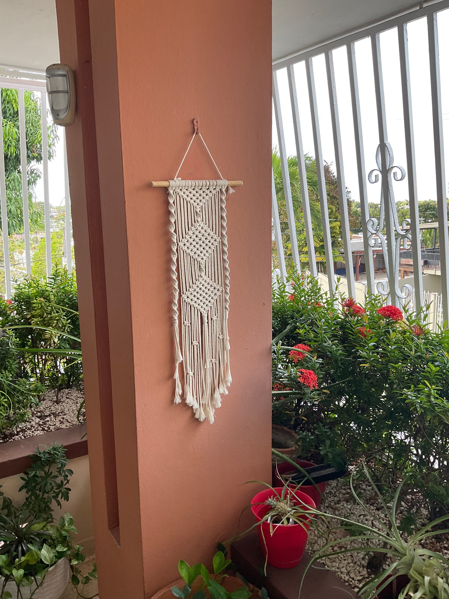 Dream Catcher