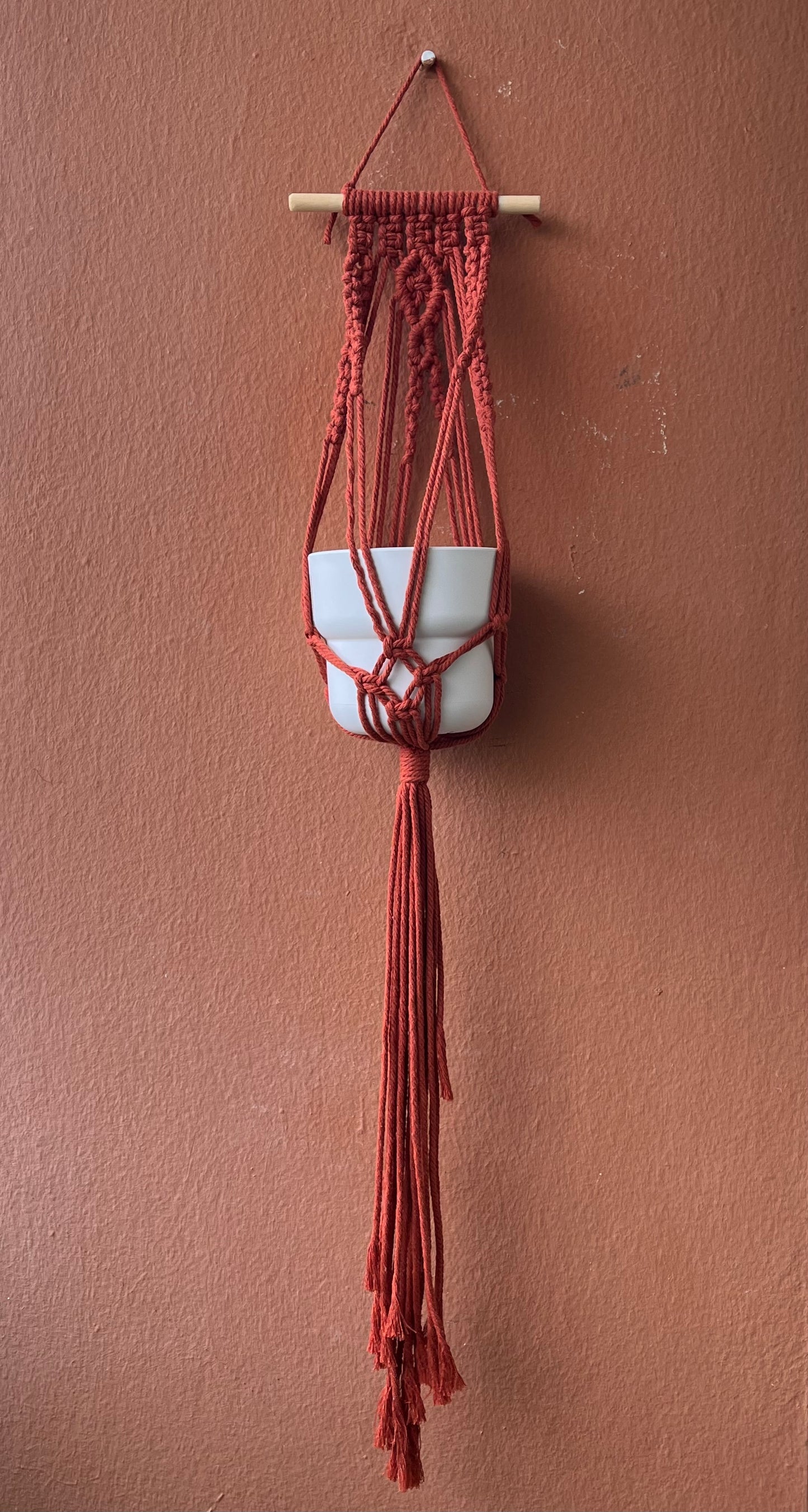 Macrame small plant hanger