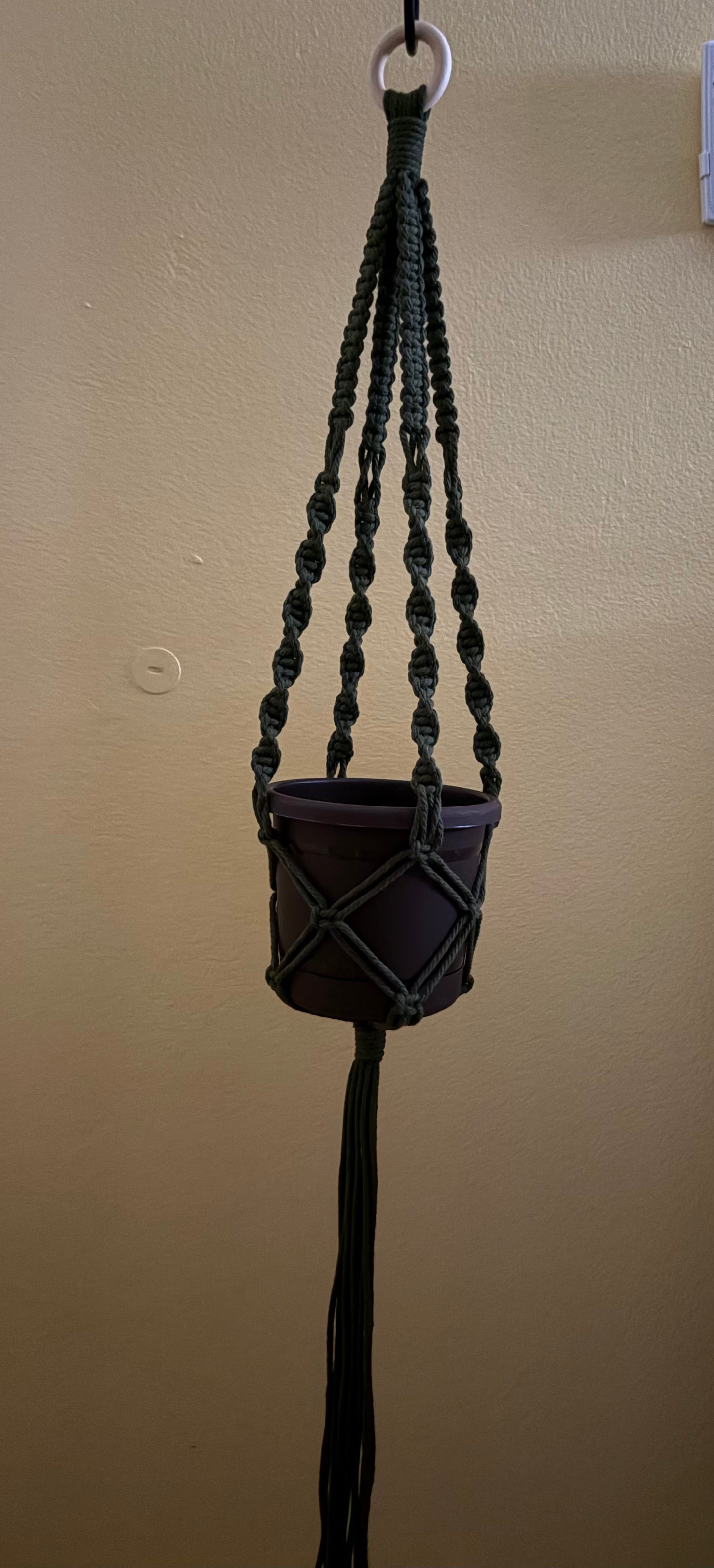 Macrame Plant Hanger