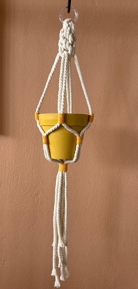 Macrame plant holder